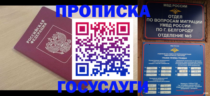 прописка законно в Партизанске